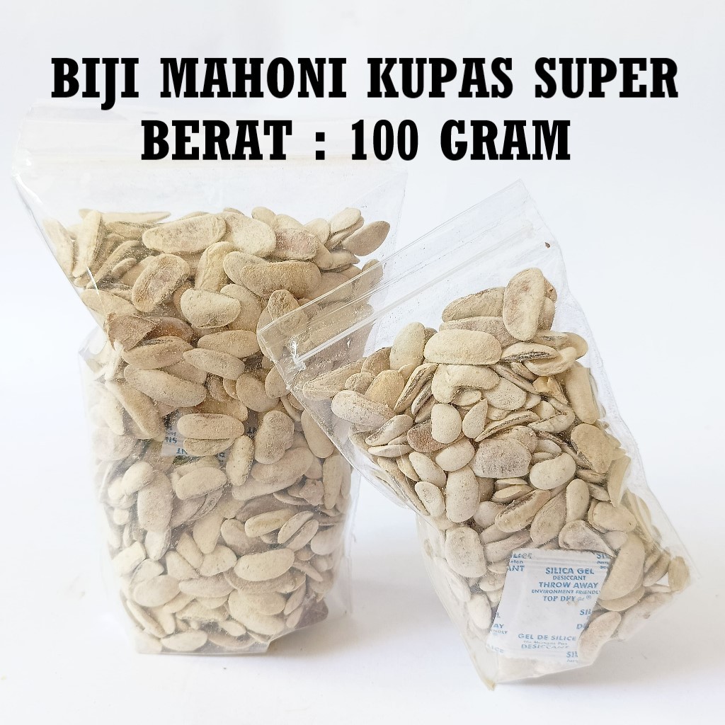 

100 gr Biji Mahoni Kupas Kering Kualitas Super