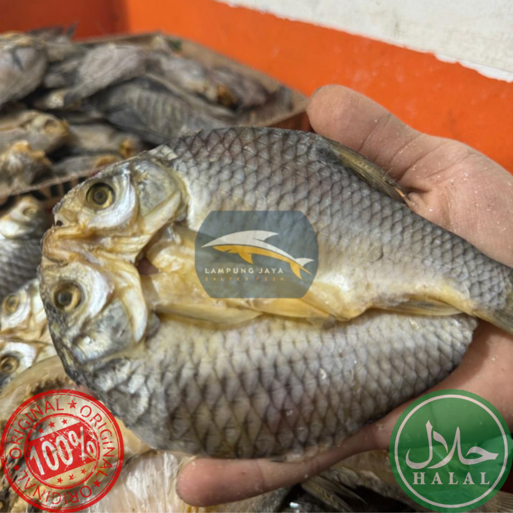 

{BISA COD} 1KG IKAN ASIN TAWES BERKUALITAS - HARGA GUDANG TERMURAH, DISTRIBUTOR PERTAMA DARI PETANI