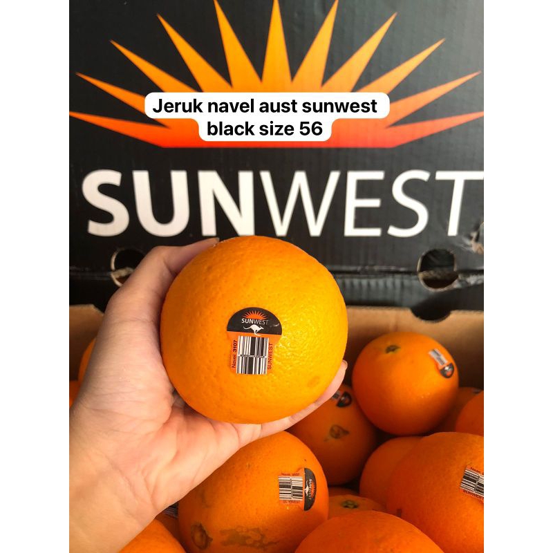 

Jeruk Navel Aust Sunwest black size 56 / kg