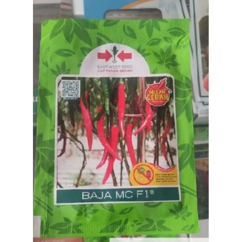 bibit cabai besar baja mc F1 cap panah merah