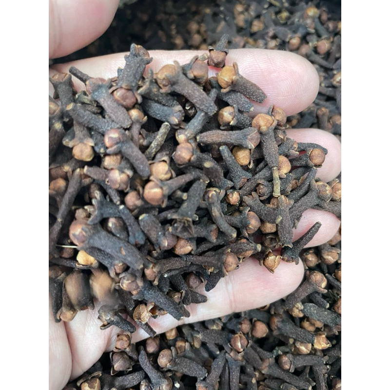 

cengkeh rempah bagus untuk masak dan kue