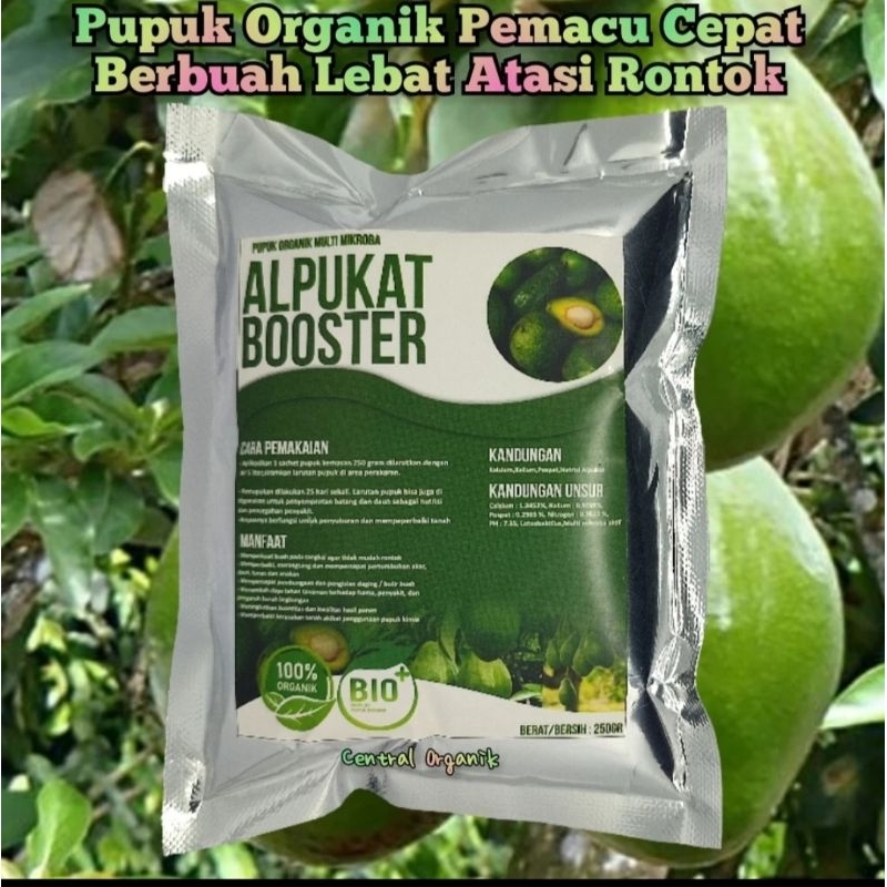 booster buah buahan