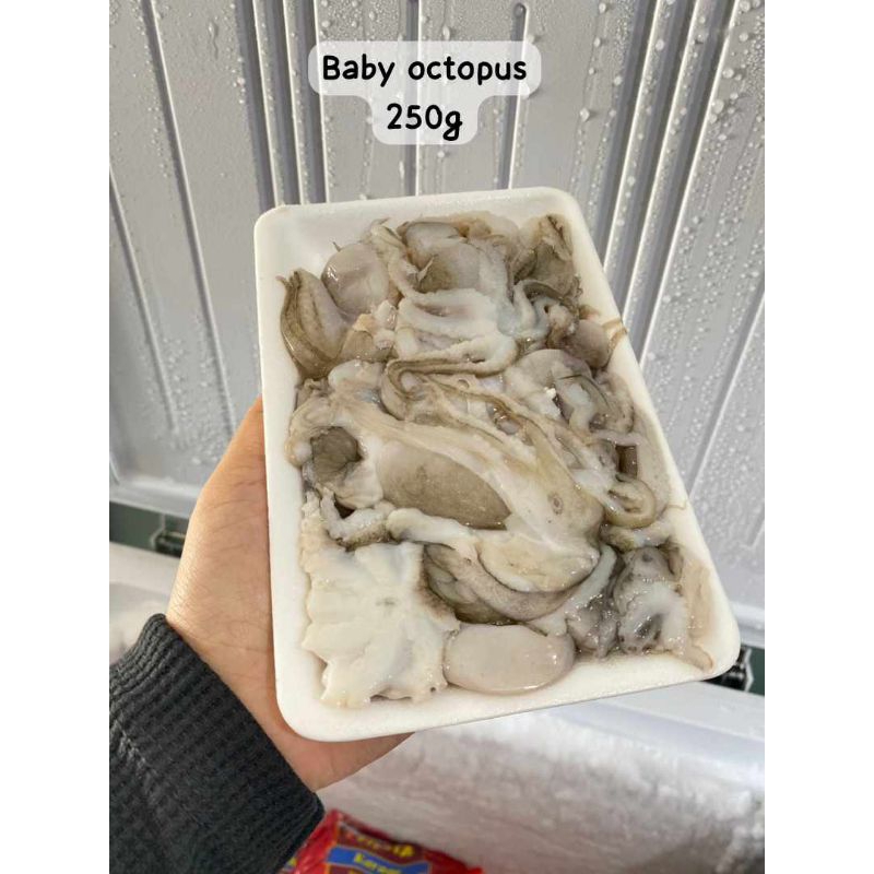 

Baby Octopus 250g frozen kirim instan