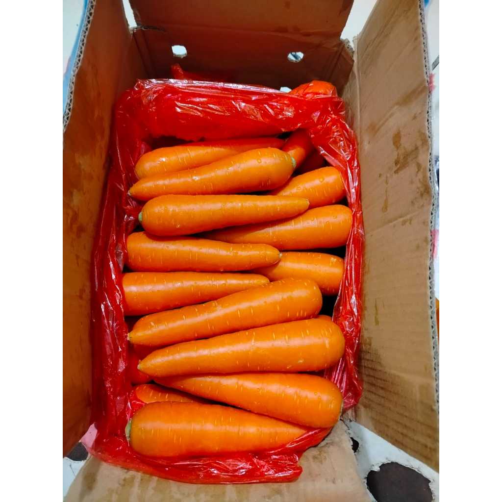 

RB CITRA FRESH - Wortel Brastagi / Wortel Import 10 Kg - Selalu Ready dan Fresh