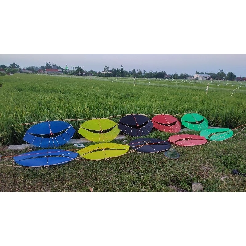Layangan Pegon Ceper sayap 1,2 meter nano sendaren 2 meter