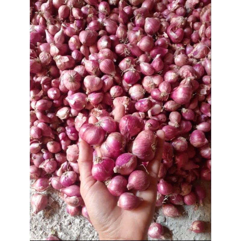 

Bawang merah sedang dan besar kering dan bersih 1 kg