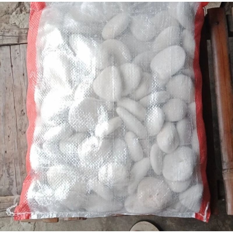 COD/BAYAR DI TEMPAT Jual batu coral besar warna putih batu koral besar 8kg hiasan taman