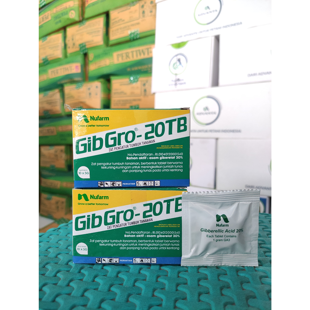GIBGRO 20TB TABLET