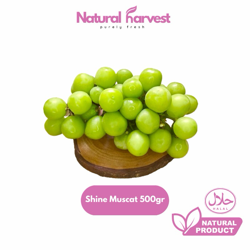 

BEST SELLER Anggur Hijau Australia Super Import | NaturalHarvest!