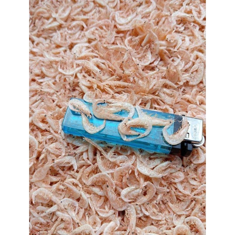 

Sekar_Shop07 Udang Rebon Kering (Rasa Asin) Size Kasar 250Gr