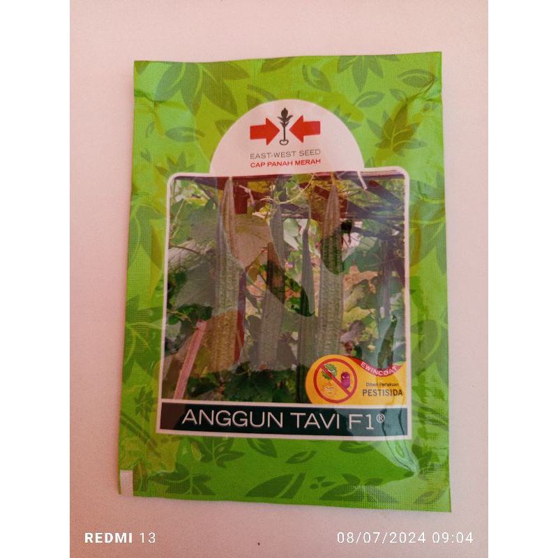 Benih gambas/oyong Anggun Tavi F1