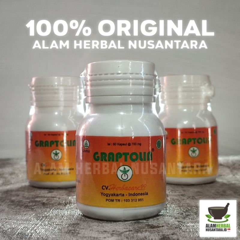 GRAPTOLIN OBAT AMBEIEN WASIR HERBAL WASIR AMBEIEN