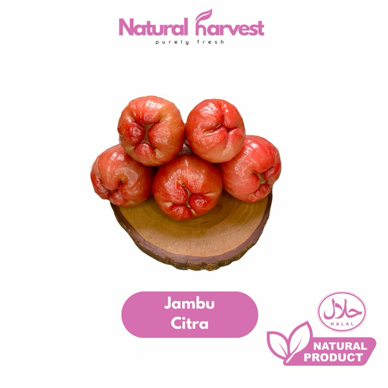 

Buah Jambu Citra Merah Super 1 Kg | NaturalHarvest!