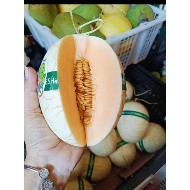 

melon sweet melon cantaloupe / melon orens manis