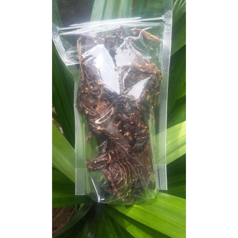 

dendeng daging bajing tupai obat alami diabetes