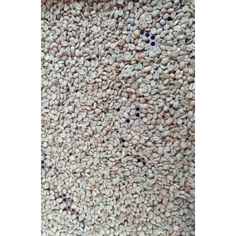 

6 kg Original Arabica | Green Bean | Viazka Coffee Puntang