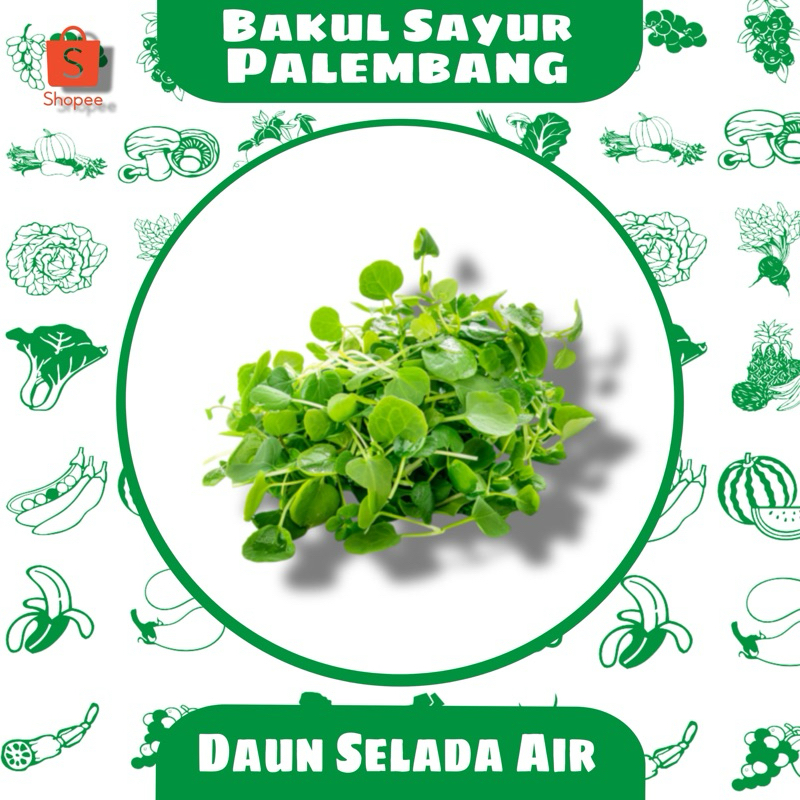 

sayur Salada air (PALEMBANG)