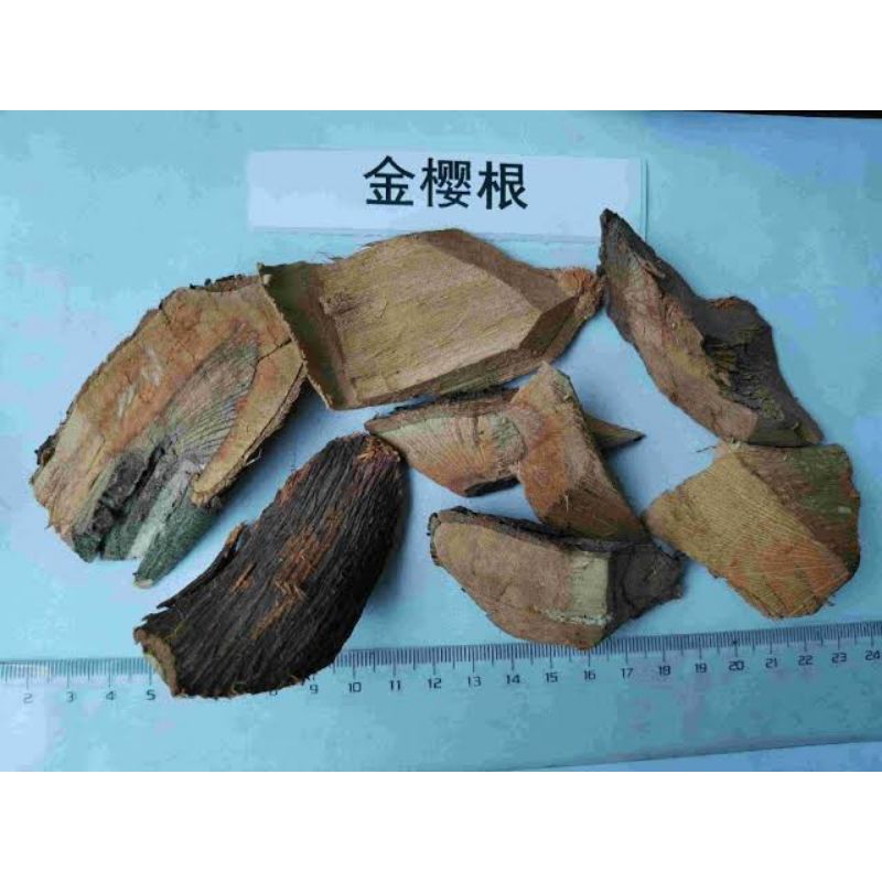 

300 G GR GRAM 金樱根 JIN YING GEN ROOT OF CHEROKEE ROSE