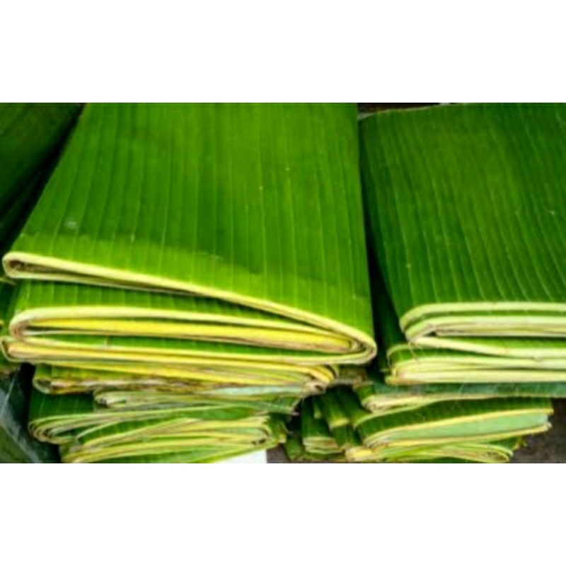 

Daun Pisang Daun untuk Pepes Fresh Per Ikat