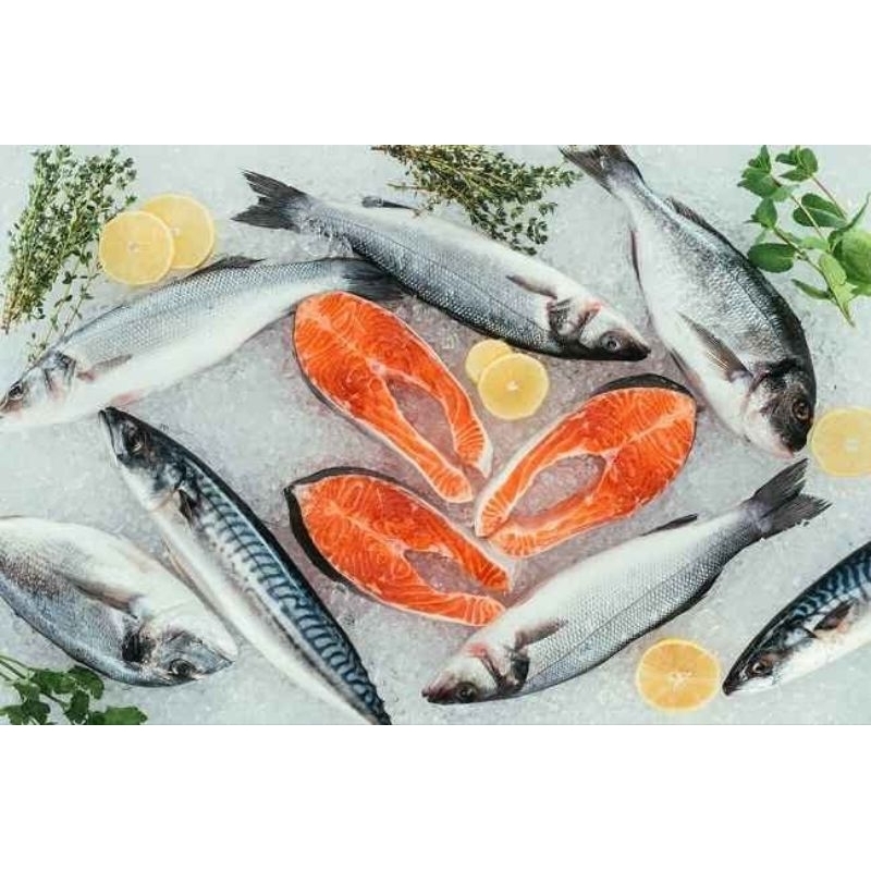 

ikan salmon potongan 500gram