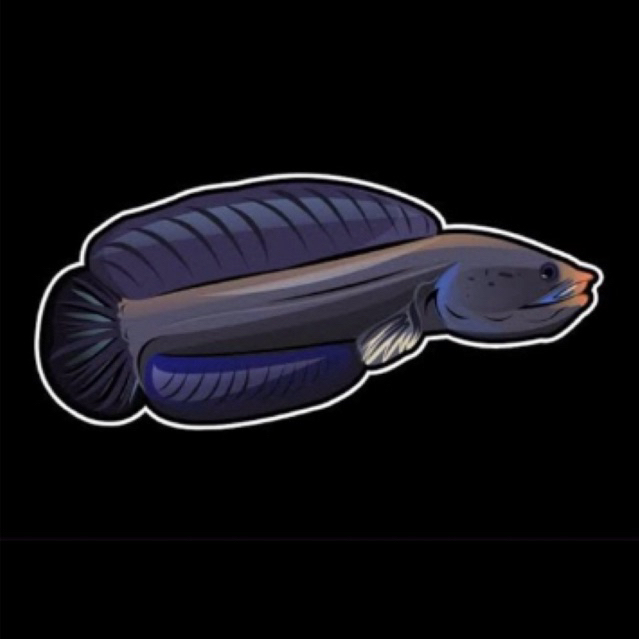 

sticker andro 4-5cm kualitas mantap