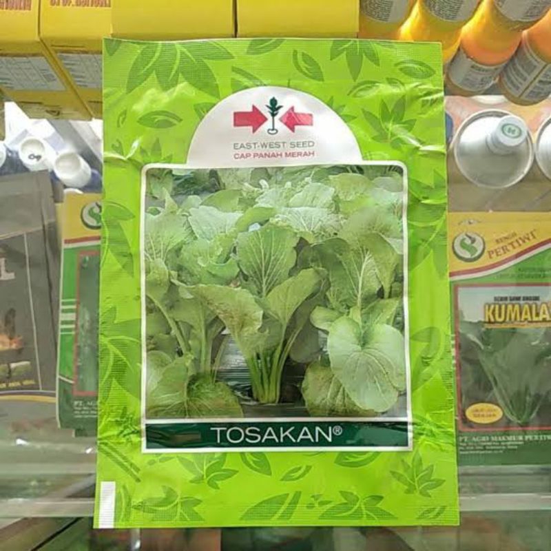 Benih Bibit Caisim Sawi Jumbo Tosakan (Tidak Pahit Disukai Pasar) isi 25 Gram Kadaluarsa 2026 Terbar