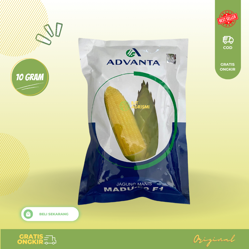 

Benih Jagung Manis MADU-59 F1 kemasan 250gr ADVANTA