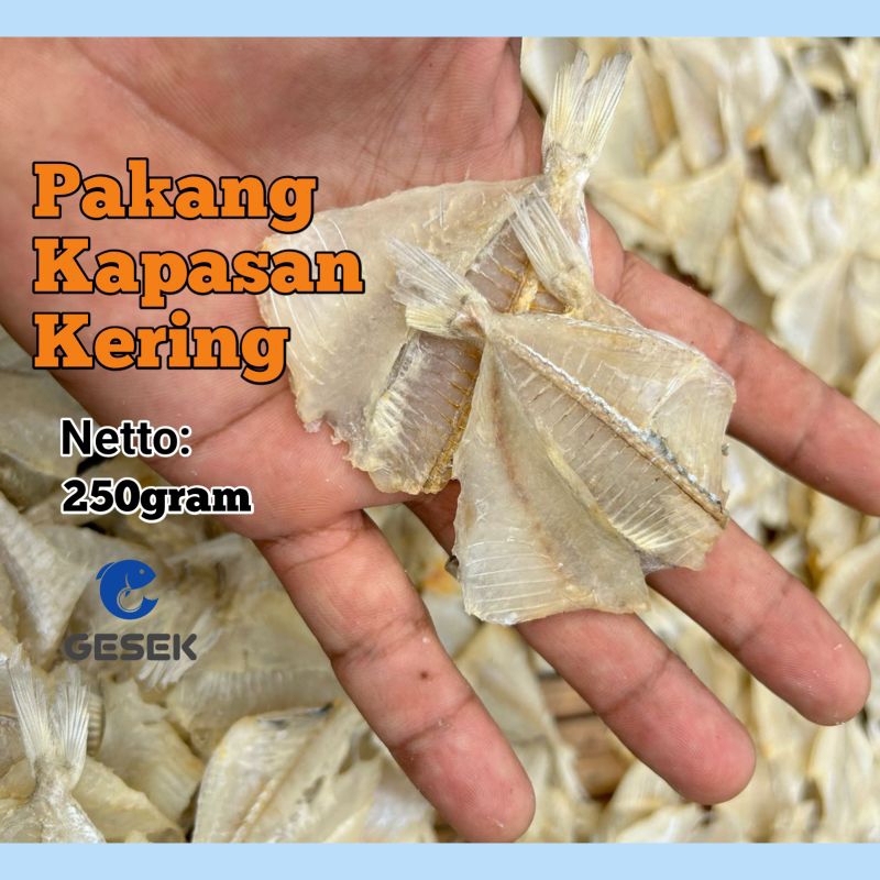 

Ikan Asin Tipis Pakang Kapasan Kering 250gram Makanan Laut Kering