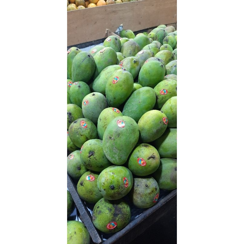 

MANGGA HARUMANIS SUPER MATANG 1 KG ISI 3 PCS