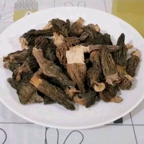 

Dried Morel Mushroom / Jamur Morel Kering / Yang Du Jun 羊肚菌 20gr