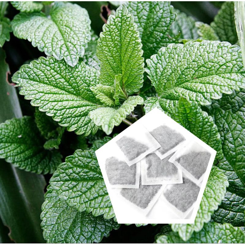 

Teh Celup Daun Mint / Papermint