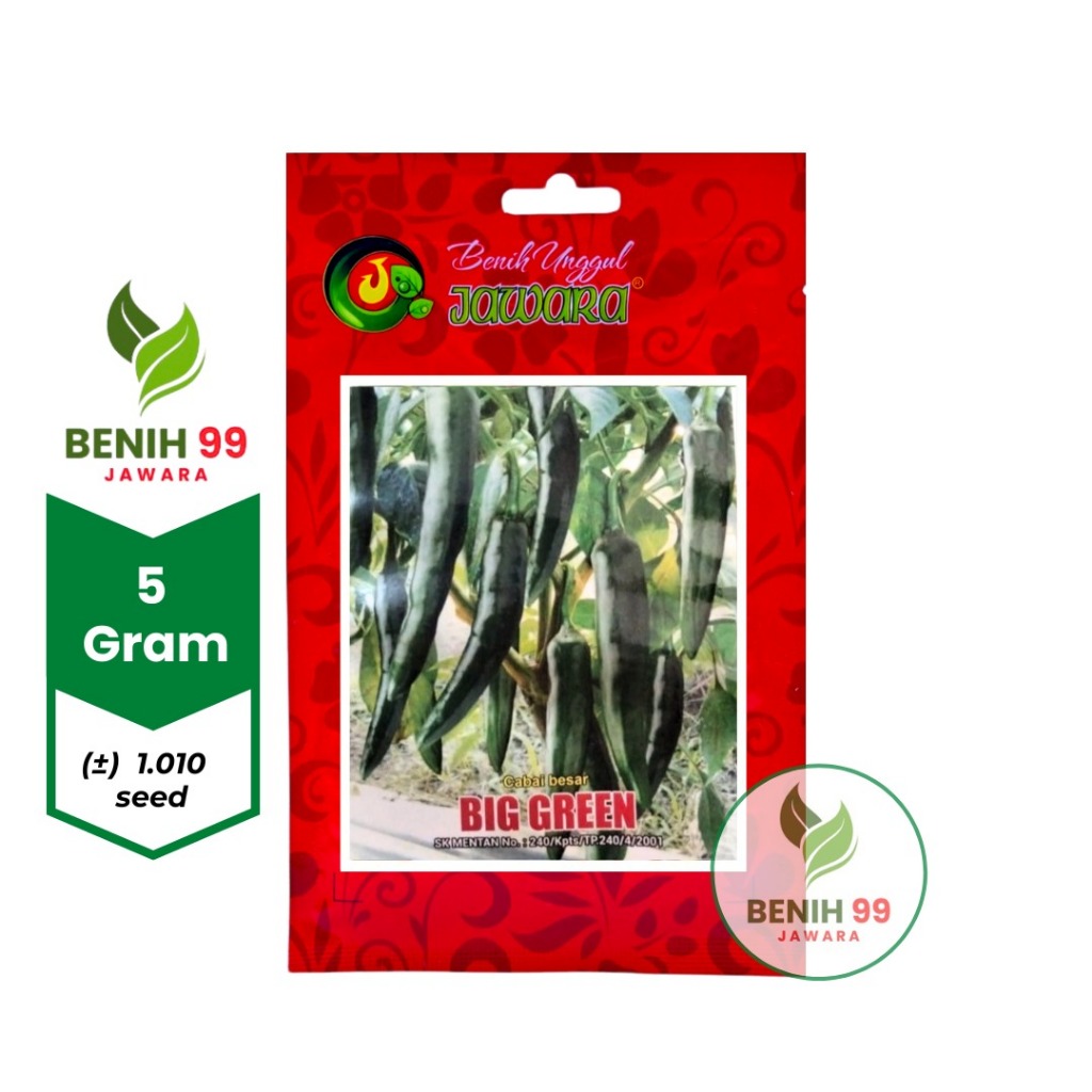 Benih Cabai besar BIG GREEN JAWARA