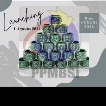 RING  BURUNG MERPATI PPMBSI TAHUN 2025 ORIGINAL