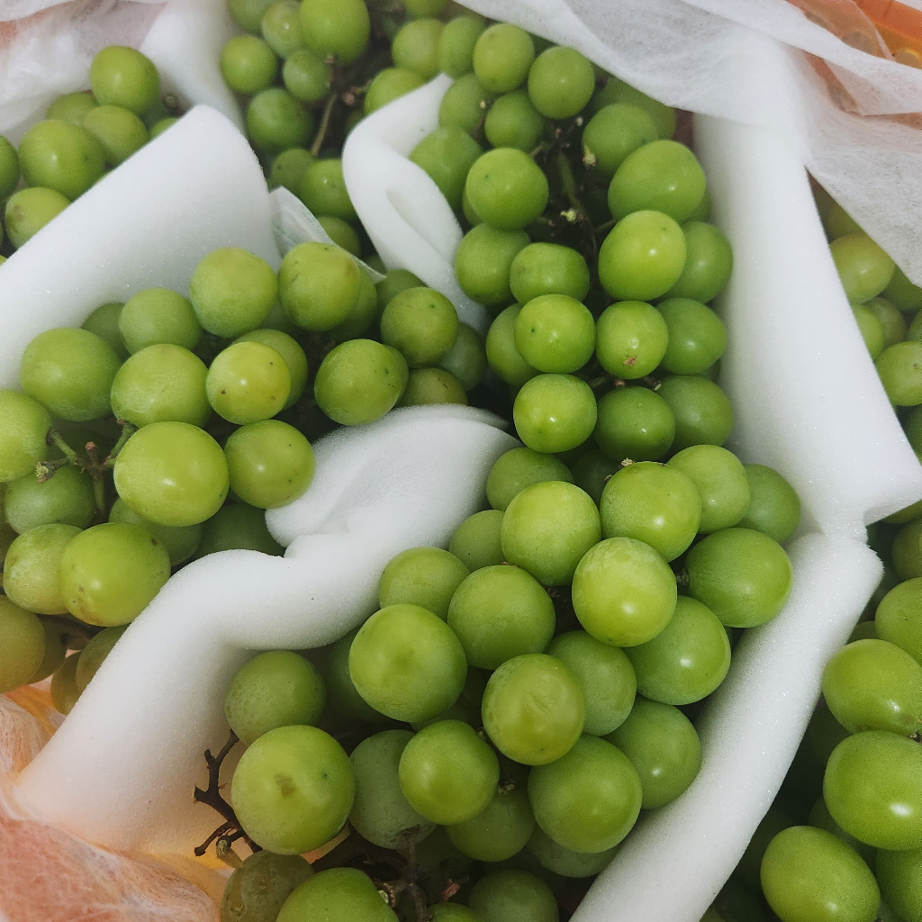 

Anggur Hijau Shine Muscat Seedless Tanpa Biji 500gr