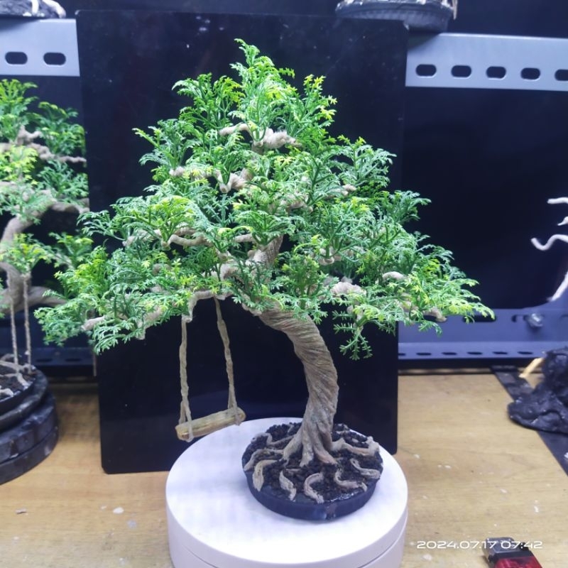 Hiasan Aquarium Miniatur Ayunan pohon Bonsai Plastik