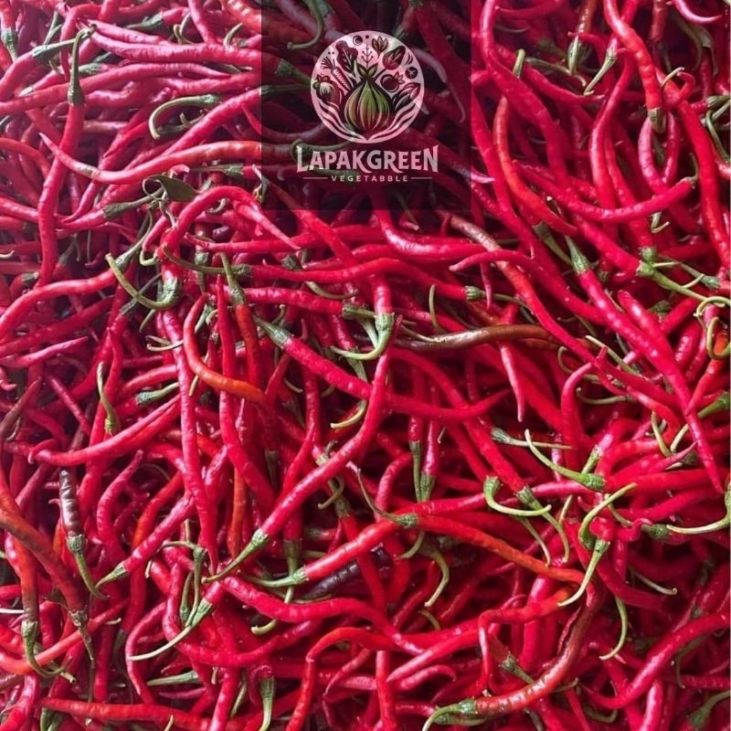 

Cabai / Lombok merah Besar 500gr