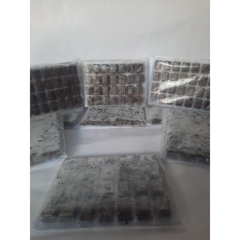 Cabek / Cacing Darah Beku / Makan ikan / Makan Burayak Kemasan Kapsul 100gr