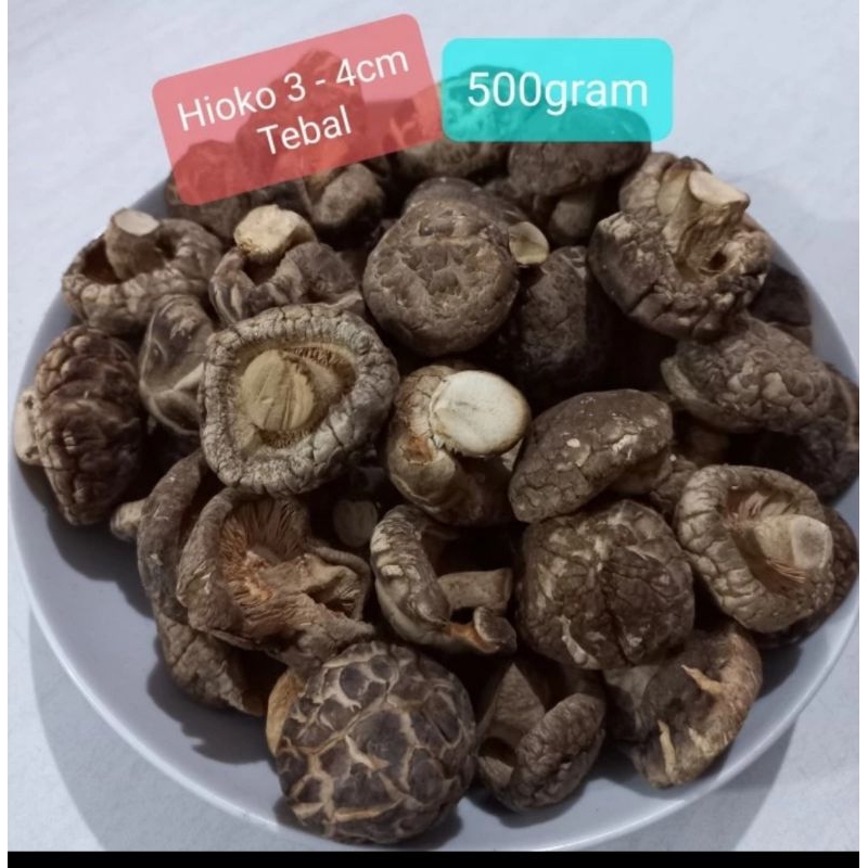 

Jamur Hioko (Tebal) Shitake ukuran 3 - 4 Cm