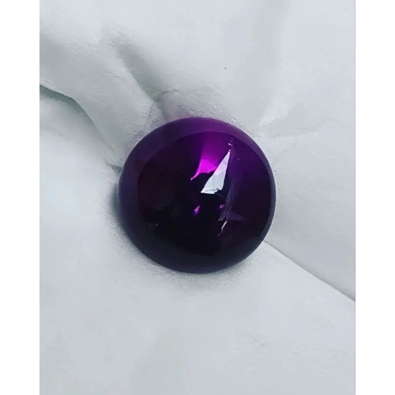 KECUBUNG UNGU KRIBANG KECUBUNG UNGU KALIMANTAN