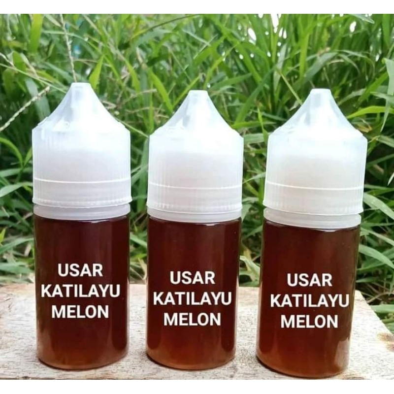 esen khusus galapung ikan mas