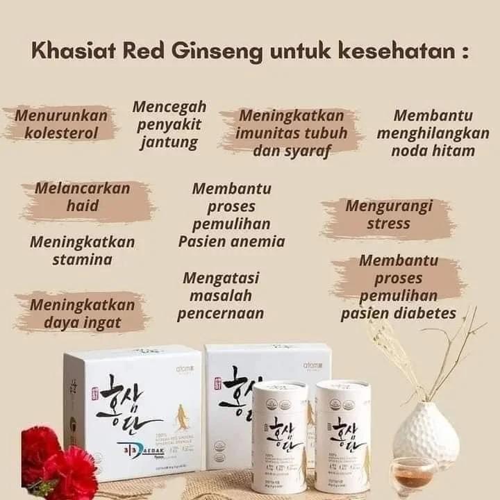 

[SACHET] Red Ginseng Hong Sam Dan Stamina Ginseng Merah Butiran Hongsamdan Subur Vitalitas Otak