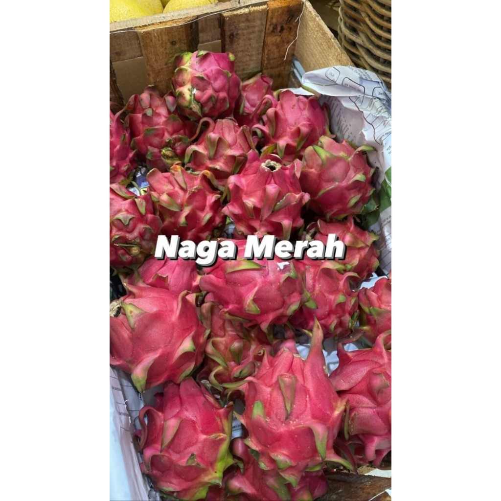 

Naga Merah