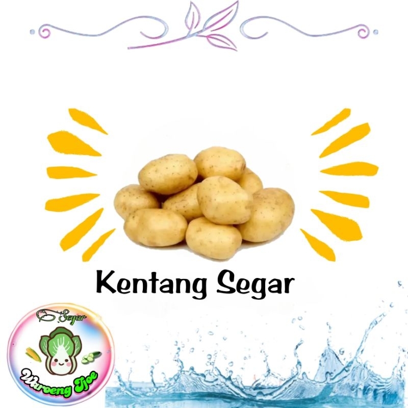 

Kentang Besar segar | Kentang Kecil segar ( ada kulitnya )