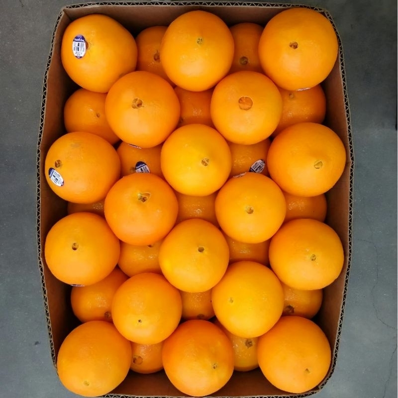 

jeruk sunkist great Sun atau navel orange rasa manis import harga per 1 kg