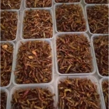 

belalang goreng utis kemasan box