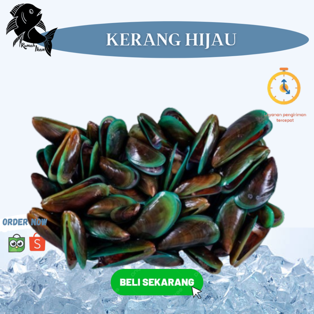 

Kerang Hijau Laut Segar 1Kg