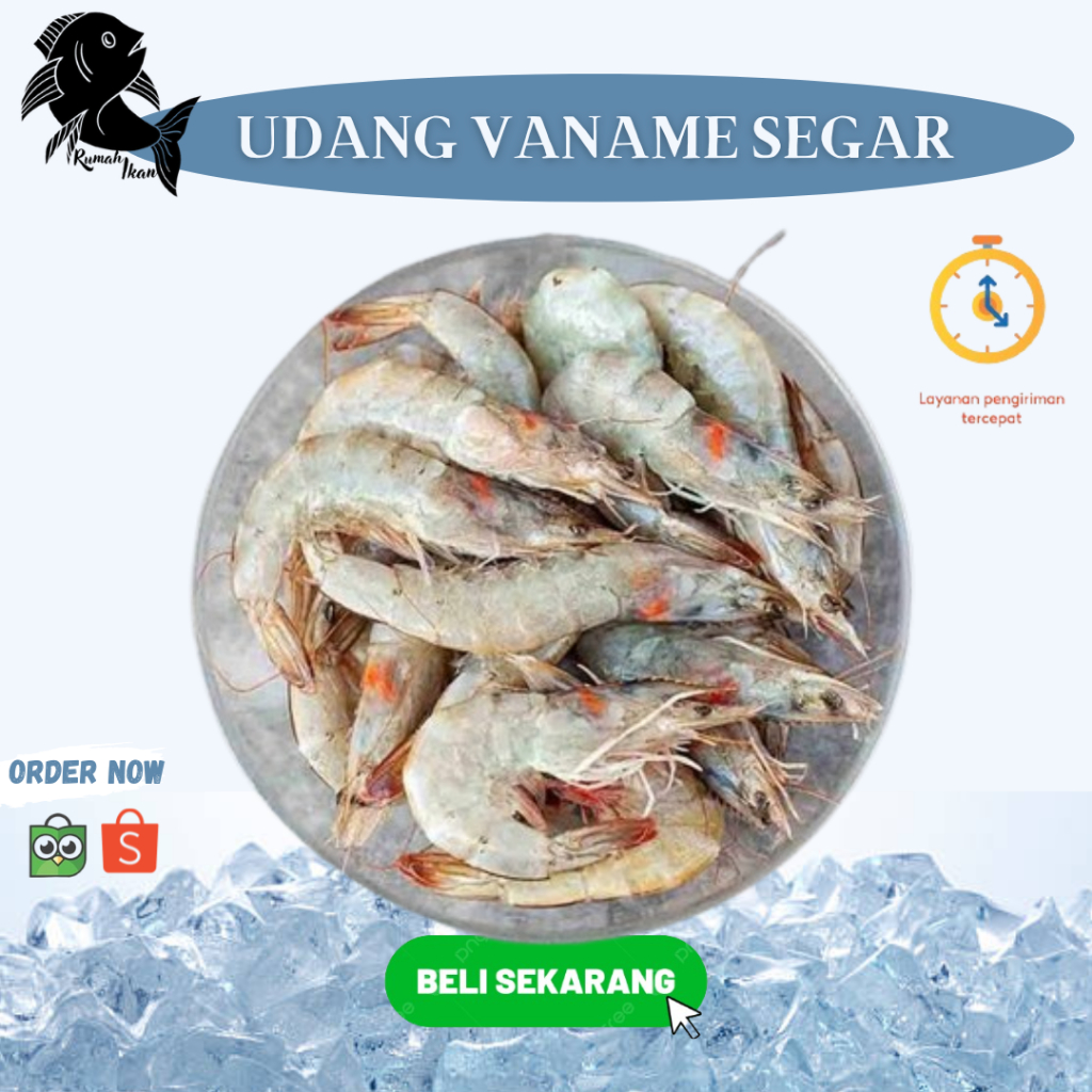 

Udang Vaname / Udang Kupas Kepala Segar 500grm/1Kg