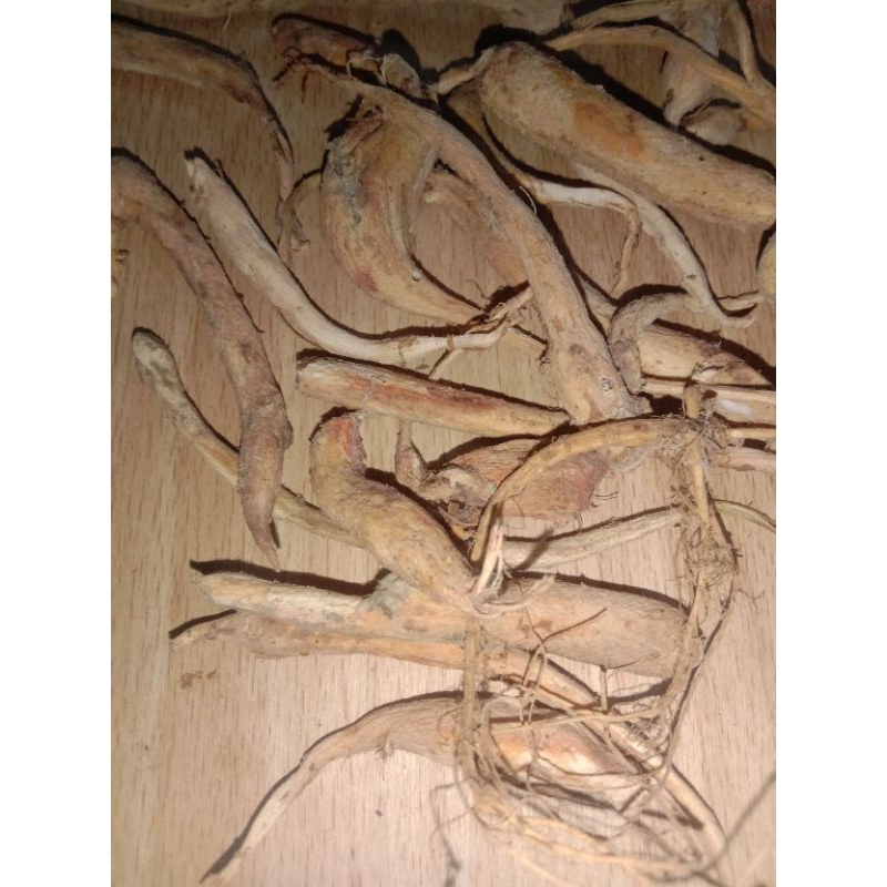 

Akar Gingseng kering herbal 50 gr