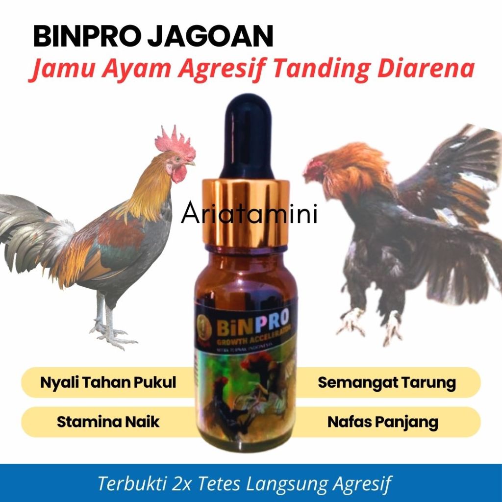 BINPRO Formula Rahasia Untuk Ayam Aduan Jamu Doping Ayam Petarung Agresif Galak Nafas Panjang