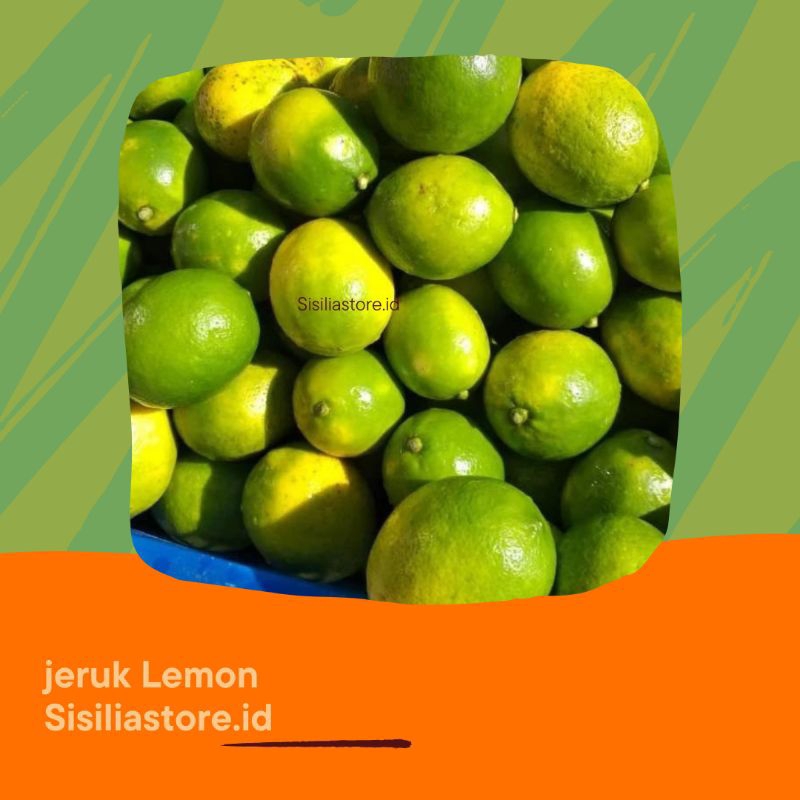 

Jeruk Lemon Lokal